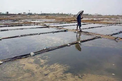 Story Ful Kumar Chakma