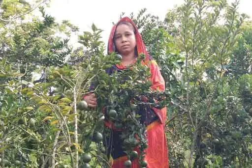 Story Rabeya Khatoon